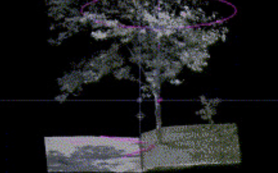 inventaire d’image